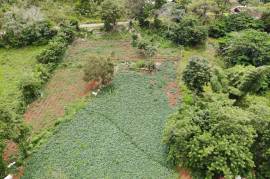 Residential Lot for Sale in Mandeville