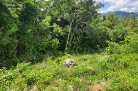 Residential Lot for Sale in Moneague