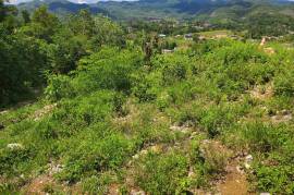 Residential Lot for Sale in Moneague