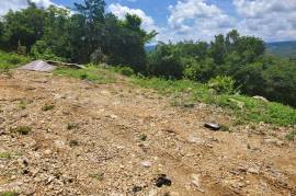 Residential Lot for Sale in Moneague