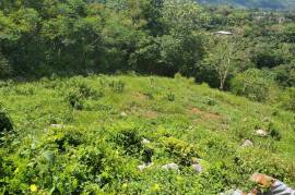 Residential Lot for Sale in Moneague