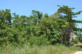 Residential Lot for Sale in Discovery Bay