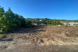 Residential Lot for Sale in Tower Isle