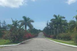 Residential Lot for Sale in Negril