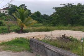 Residential Lot for Sale in Lucea