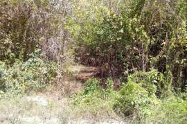 Residential Lot for Sale in Duncans