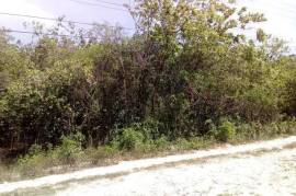 Residential Lot for Sale in Duncans