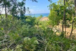 Residential Lot for Sale in Montego Bay