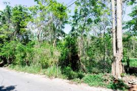 Residential Lot for Sale in Tower Isle