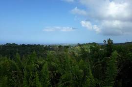 Residential Lot for Sale in Ocho Rios