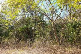 Residential Lot for Sale in Falmouth