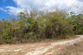 Residential Lot for Sale in Falmouth