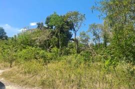 Residential Lot for Sale in Duncans