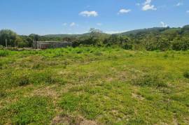 Residential Lot for Sale in Duncans