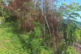 Residential Lot for Sale in Port Maria