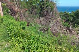 Residential Lot for Sale in Port Maria