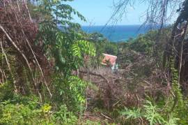 Residential Lot for Sale in Port Maria