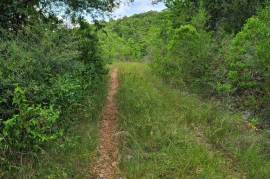 Residential Lot for Sale in Spur Tree