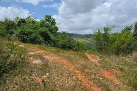 Residential Lot for Sale in Spur Tree