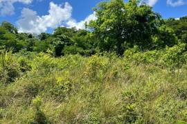 Residential Lot for Sale in Ocho Rios