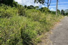 Residential Lot for Sale in Ocho Rios