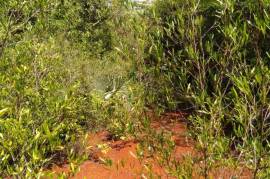 Residential Lot for Sale in Spur Tree