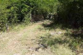 Residential Lot for Sale in Comfort Hall