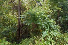 Residential Lot for Sale in Red Hills