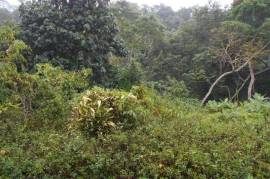 Residential Lot for Sale in Red Hills