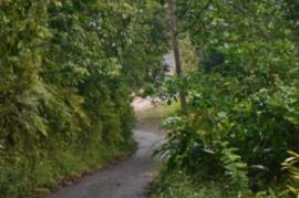 Residential Lot for Sale in Red Hills