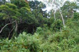 Residential Lot for Sale in Red Hills