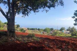 Residential Lot for Sale in Aligator Pond