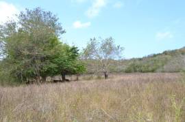 Residential Lot for Sale in Falmouth