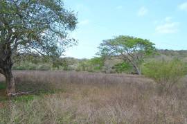 Residential Lot for Sale in Falmouth