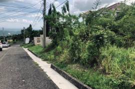 Residential Lot for Sale in Williamsfield