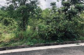 Residential Lot for Sale in Williamsfield