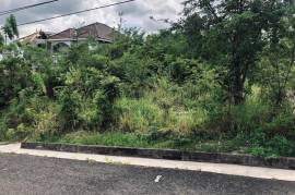 Residential Lot for Sale in Williamsfield