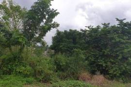 Residential Lot for Sale in Red Hills