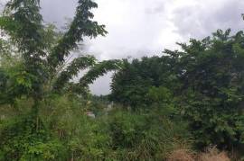 Residential Lot for Sale in Red Hills