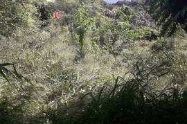 Residential Lot for Sale in Red Hills