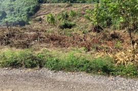 Residential Lot for Sale in Port Maria