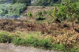 Residential Lot for Sale in Port Maria