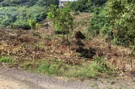 Residential Lot for Sale in Port Maria