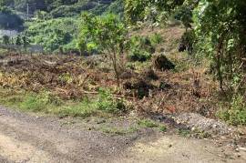 Residential Lot for Sale in Port Maria