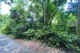 Residential Lot for Sale in Riversdale