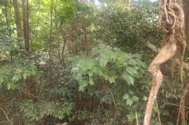 Residential Lot for Sale in Red Hills