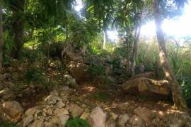 Residential Lot for Sale in Red Hills