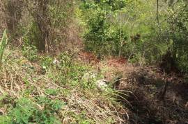 Residential Lot for Sale in Hopewell