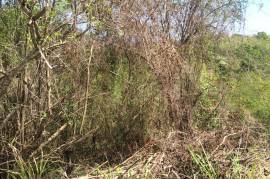 Residential Lot for Sale in Hopewell