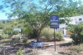 Residential Lot for Sale in Bull Bay